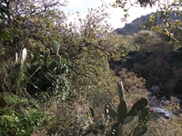 cantara gurne23122011 124